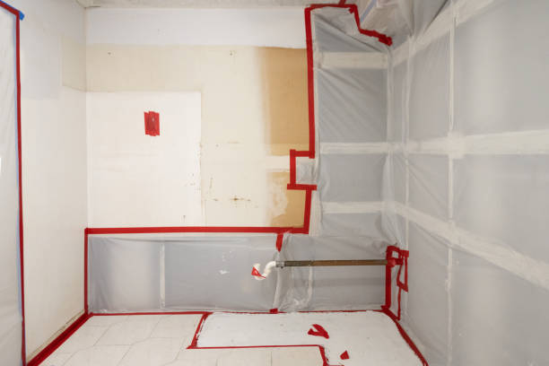 Best Water Damage & Mold Remediation  in Arcadia, SC