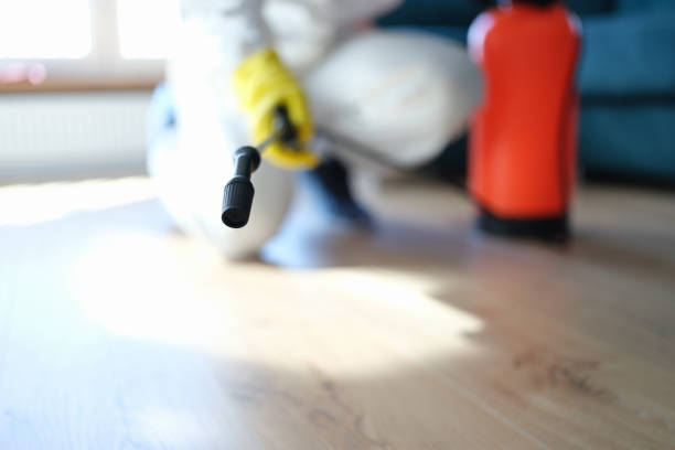 Best Commercial Mold Inspection  in Arcadia, SC