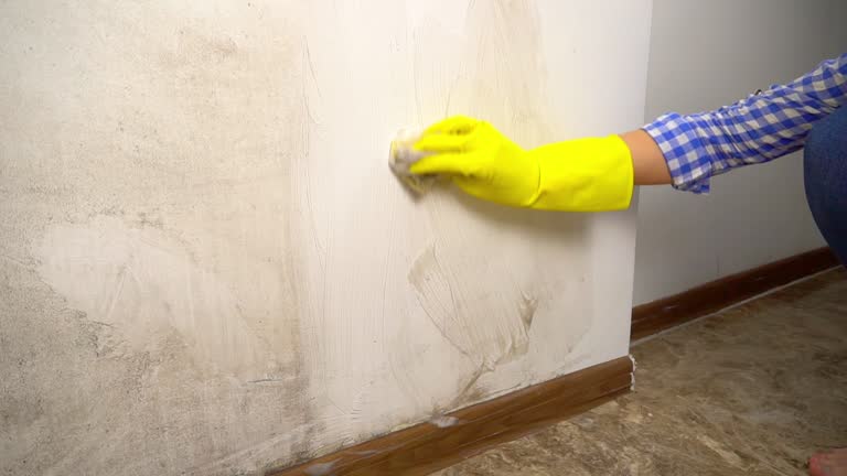 Best Crawl Space Mold Remediation  in Arcadia, SC