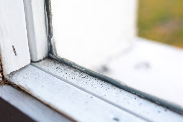 Best Mold Remediation for Healthcare Facilities  in Arcadia, SC