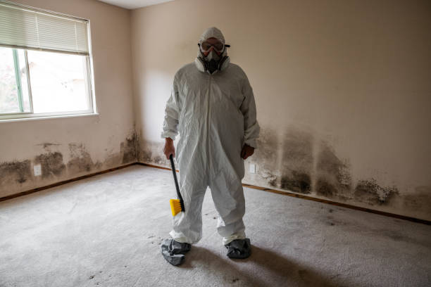Best Attic Mold Removal  in Arcadia, SC